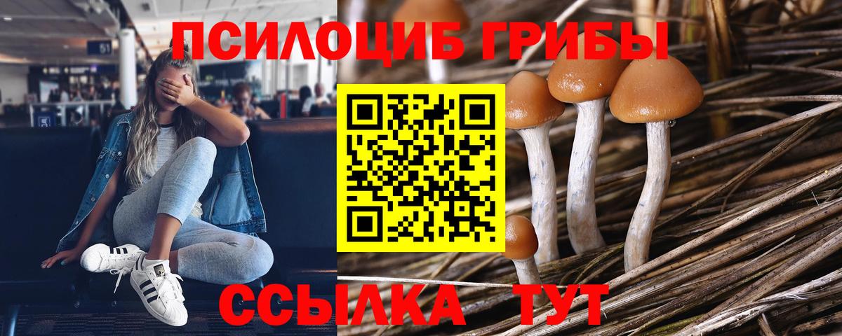 Псилоцибиновые грибы прущие грибы Апшеронск