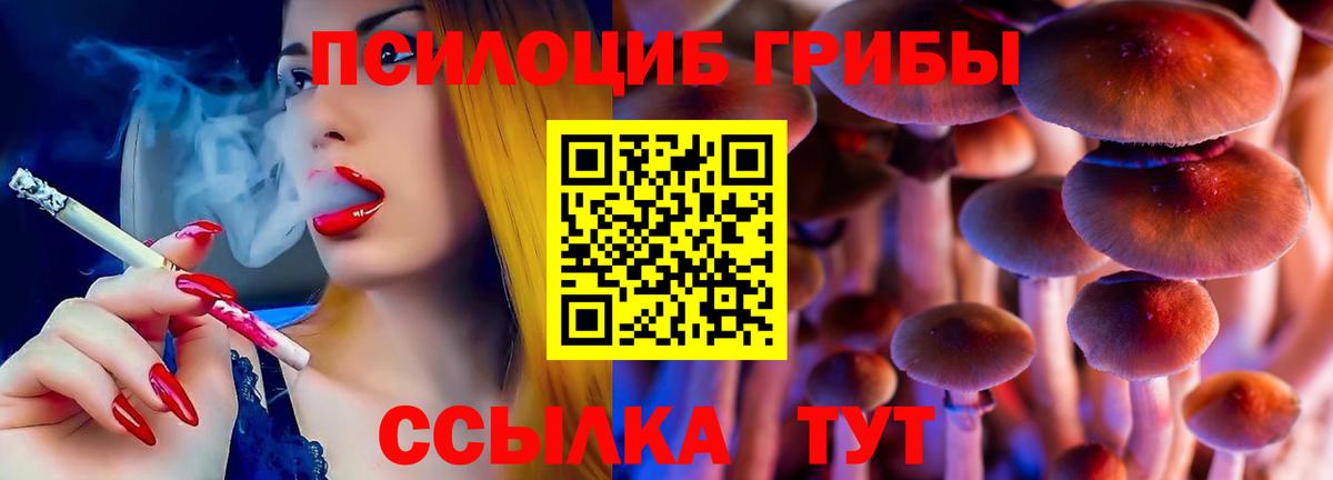Апшеронск  Галлюциногенные грибы Psilocybe  Псилоцибиновые грибы прущие грибы  Вход с VPN 