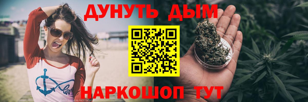 Конопля конопля Апшеронск